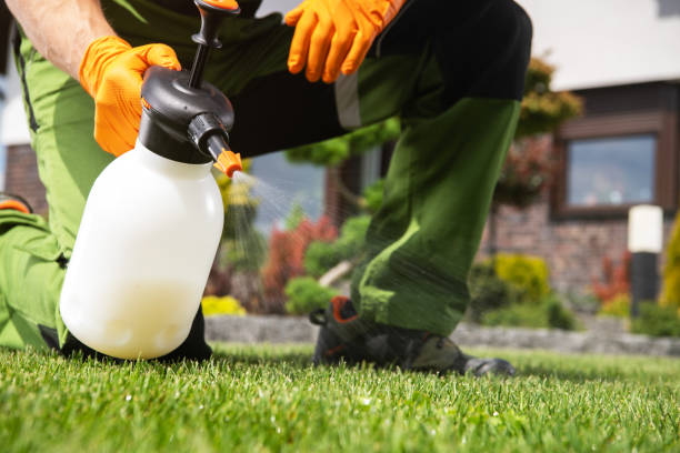 Best Flea Control Services  in Crab Orchard, WV