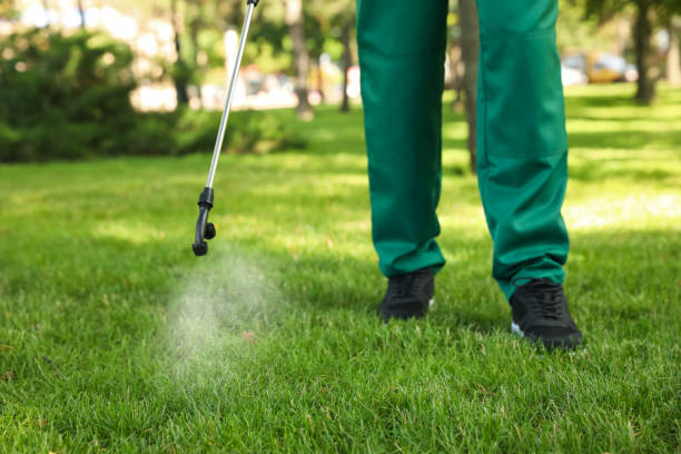 Best Ant Control Services  in Crab Orchard, WV