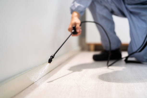 Professional Pest Control in Crab Orchard, WV