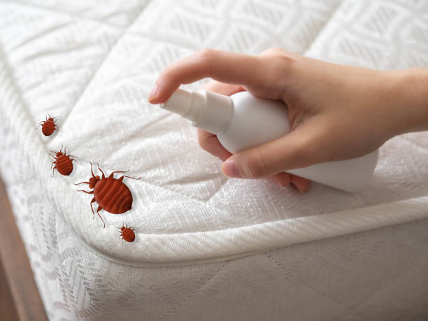 Pest Control Cost in Crab Orchard, WV