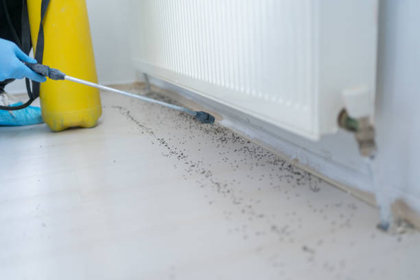 Best Affordable Pest Control Services  in Crab Orchard, WV